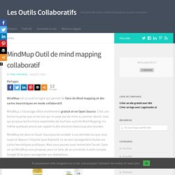MindMup Outil de mind mapping collaboratif