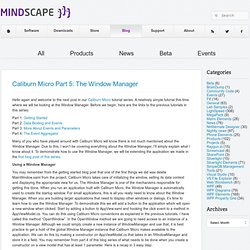 Mindscape Blog » Blog Archive » Caliburn Micro Part 5: The Window Manager