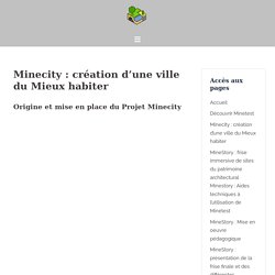 Minecity : création d’une ville du Mieux habiter – Minetest