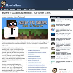 Minecraft Guide: Meet the Mobs of Minecraft