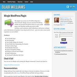 Mingle WordPress Plugin | Blair Williams