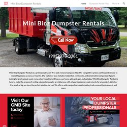 Mini Binz Dumpster Rentals