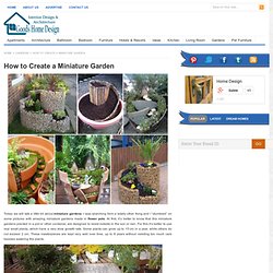 How to Create a Miniature Garden