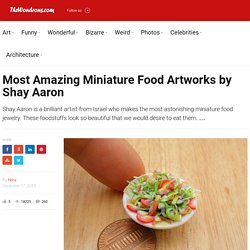 Most Amazing Miniature Food Artworks by Shay Aaron