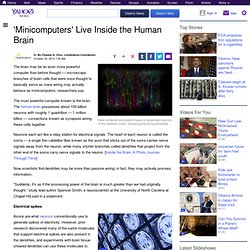 'Minicomputers' Live Inside the Human Brain