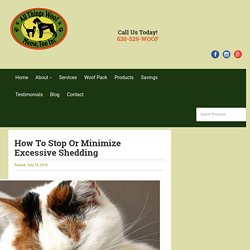 How To Stop Or Minimize Excessive Shedding