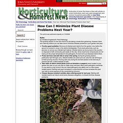 How Can I Minimize Plant Disease Problems Next Year?