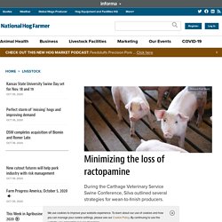 NATIONAL HOG FARMER 02/09/20 Minimizing the loss of ractopamine