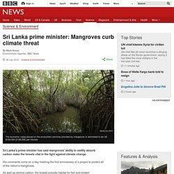 Sri Lanka prime minister: Mangroves curb climate threat