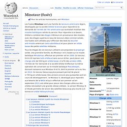 Minotaur (fusée)