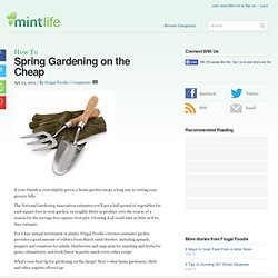 Spring Gardening on the Cheap