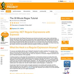 The 30 Minute Regex Tutorial. Free source code and programming help