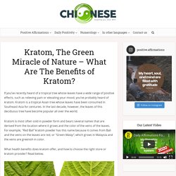 Kratom, The Green Miracle of Nature - What Are The Benefits of Kratom? - Law of Attraction Blog