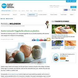 Easter miracle? Eggshells reborn as plastics