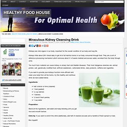 The Miraculous Kidney Cleansing DrinkHealthy Food House