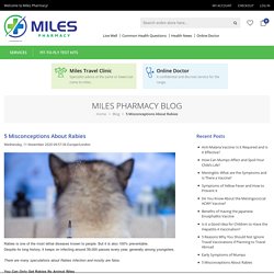 Blog - 5 Misconceptions About Rabies