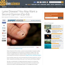 Lyme Disease? You May Want a Second Opinion
