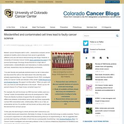 Misidentified and contaminated cell lines lead to faulty cancer science