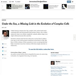 Under the Sea, a Missing Link in the Evolution of Complex Cells