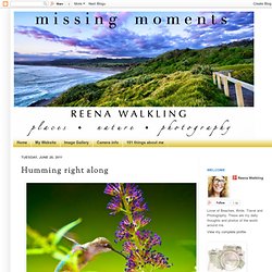 missing moments: Humming right along