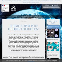 Le réveil des blobs