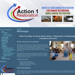 Mississippi - Action 1 Restoration & Remodeling