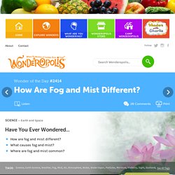 How Are Fog and Mist Different?