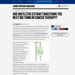 Are mistletoe extract injections the next big thing in cancer therapy?