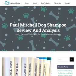 Paul Mitchell Dog Shampoo Review And Analysis