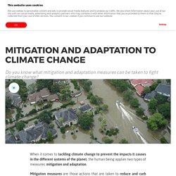 Mitigation and adaptation to climate change