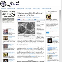 Mitochondria: Life, Death and the Agents of Aging - Decoded Science 