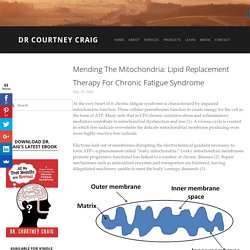 Mending the Mitochondria: Lipid Replacement Therapy for Chronic Fatigue Syndrome — Dr Courtney Craig