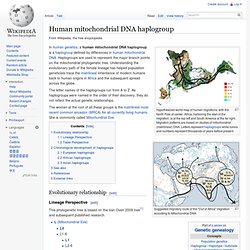 Human mitochondrial DNA haplogroup