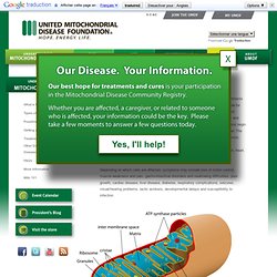 What is Mitochondrial Disease - The United Mitochondrial Disease Foundation