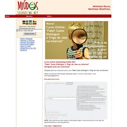 Curso MiudosSegurosNa.Net: Fake! Como Distinguir o Trigo do Joio na Internet - Informação Adicional