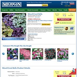 Mixed Coral Bells - Mixed Heuchera from Michigan Bulb