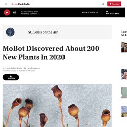 MoBot Discovered About 200 New Plants In 2020