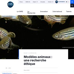 Modèles animaux : une recherche éthique