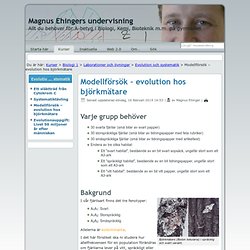 Modellförsök – evolution hos björkmätare