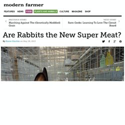Are Rabbits the New Super Meat?