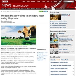 Modern Meadow aims to print raw meat using bioprinter