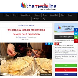 'Modern day Mendel' Modernizing Sesame Seed Production - The Media Line