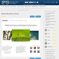 Modest WordPress Theme