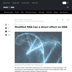 Modified RNA has a direct effect on DNA