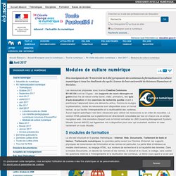 Modules de culture numérique