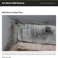 Mold Comes in Various Forms