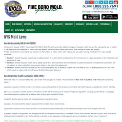 NYC Mold Laws- Five Boro Mold Specialist