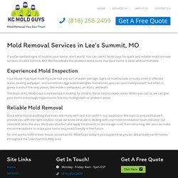 Mold Removal in Lee's Summit, MO