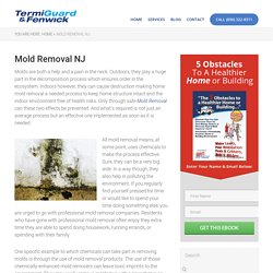 Mold Removal NJ