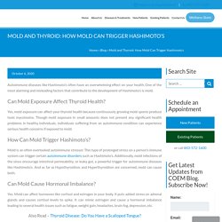 Mold and Thyroid: How Mold Can Trigger Hashimoto's